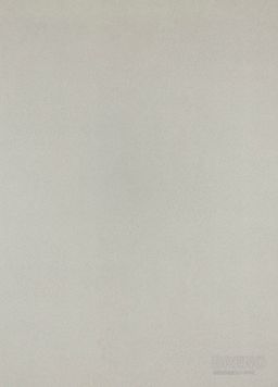 PVC XTREME Mira 909L