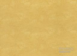 PVC XTREME Roxanne 220M