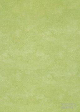 PVC XTREME Roxanne 550M – zelené