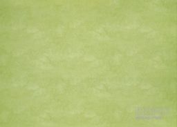 PVC XTREME Roxanne 550M – zelené