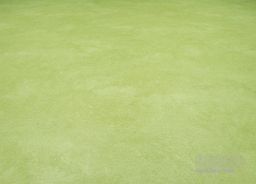 PVC XTREME Roxanne 550M – zelené