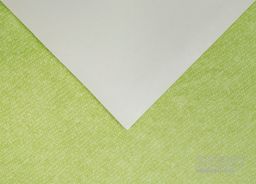 PVC XTREME Roxanne 550M