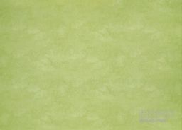 PVC XTREME Roxanne 550M