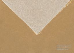 REVOLUTION SPECIAL 50 béžový