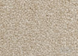 REVOLUTION SUPREME 69