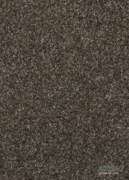 REWIND 900 Flat 7055