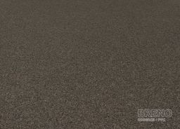 REWIND 900 Flat 7055