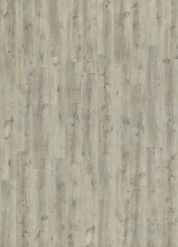 REXTON Major Oak 24241