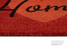 Rohožka BILBAO 701/coir