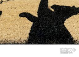 Rohožka mačky a motýle