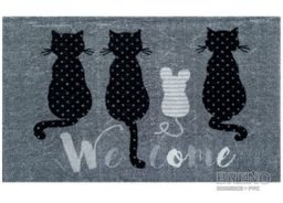 Rohožka MIAMI 504/mat