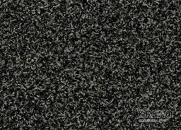 Rohožka ROYAL GREEN černá