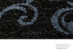 Rohožka sova černá