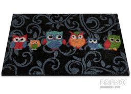 Rohožka sova čierna