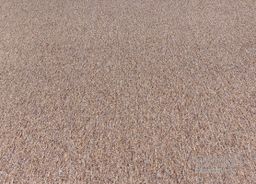 SAVANNAH 84 oranžový