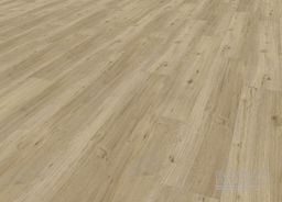 SENSO 55 RIGID ACOUSTIC CLICK 953 Columbia Taupe