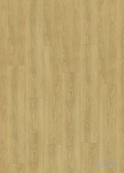 SENSO 55 RIGID ACOUSTIC EIR CLICK 1540 Meadow Honey