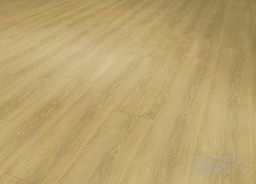 SENSO 55 RIGID ACOUSTIC EIR CLICK 1540 Meadow Honey