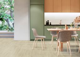 SENSO 55 RIGID ACOUSTIC EIR CLICK 1541 Country Light