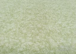 SERENADE 611 (Ecoluxe)