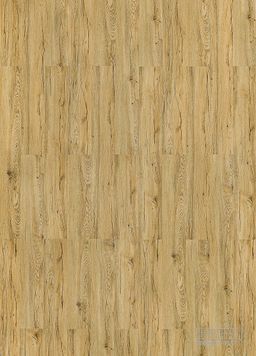 SPC WOODS Click - HIF 20461