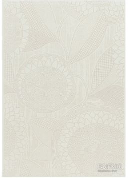 STELLA 29/WEW slunečnice