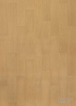TARALAY Emotion 1655 Blomma Clear