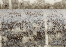 VICTORIA 8030 - 0444