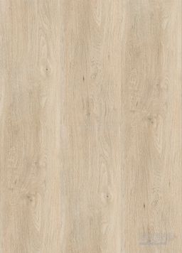 VIRTUO 55 RIGID ACOUSTIC CLICK 0996 Sunny light