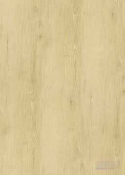 VIRTUO 55 RIGID ACOUSTIC CLICK 0997 Sunny nature