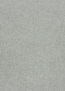 VIVA 91