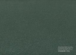 ZENITH (SANTANA, ZERO) 25 zelený