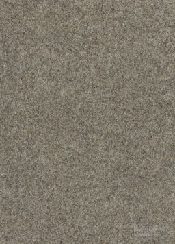 ZENITH (SANTANA, ZERO) 62