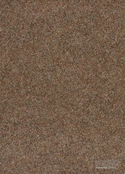 ZENITH (SANTANA, ZERO) 68