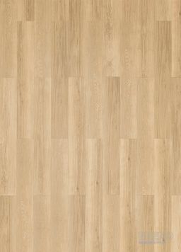 ZENN CLICK 55 Orlando