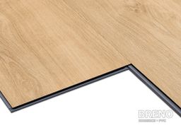 ZENN CLICK 55 Orlando